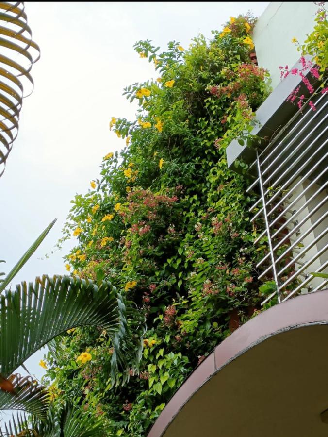 Mango Tree Homestay Hampi Kültér fotó